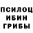 Псилоцибиновые грибы прущие грибы Qyka BS