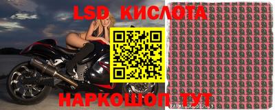 ешки Гай