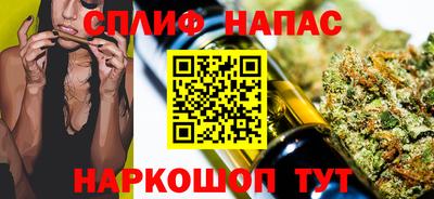 ешки Гай