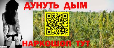 ешки Гай
