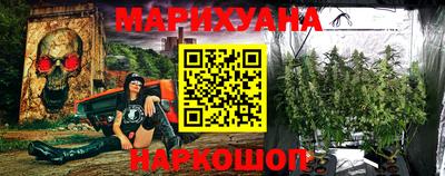 apvp Гатчина