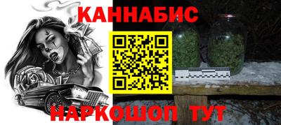 индика Бийск