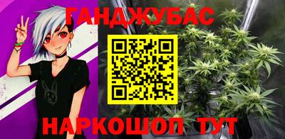 гашик Гагарин