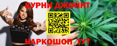 индика Бийск