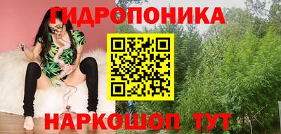 ешки Гай