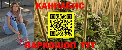 apvp Гатчина