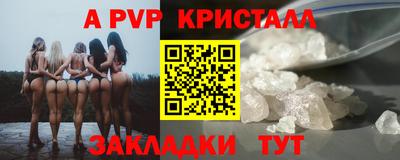 ешки Гай