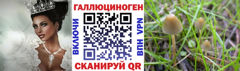 Псилоцибиновые грибы мухоморы  Димитровград 