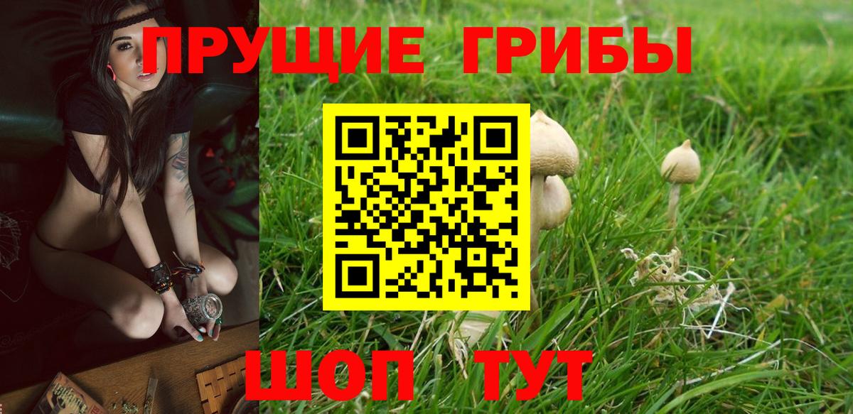 Галлюциногенные грибы прущие грибы Димитровград