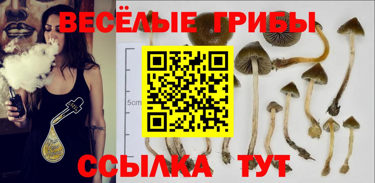 как найти закладки  Галлюциногенные грибы мицелий  Вход с VPN  Димитровград  Галлюциногенные грибы ЛСД 