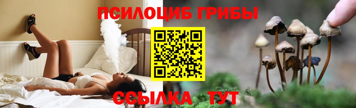 Псилоцибиновые грибы Psilocybe  Димитровград  цена   Галлюциногенные грибы MAGIC MUSHROOMS 